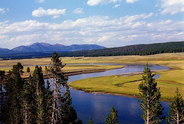 20000801   Yellowstone 147